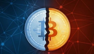 Bitcoin Halving Nedir, Neden Önemlidir?