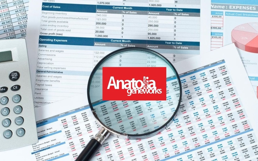 ANGEN 2025/3Ç bilançosunu açıkladı: Kâr var mı?