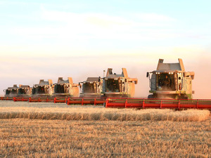 Kazakistan, bu yıl tahıl hasadı en y&uuml;ksek seviyesine ulaştı