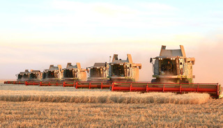 Kazakistan, bu yıl tahıl hasadı en yüksek seviyesine ulaştı