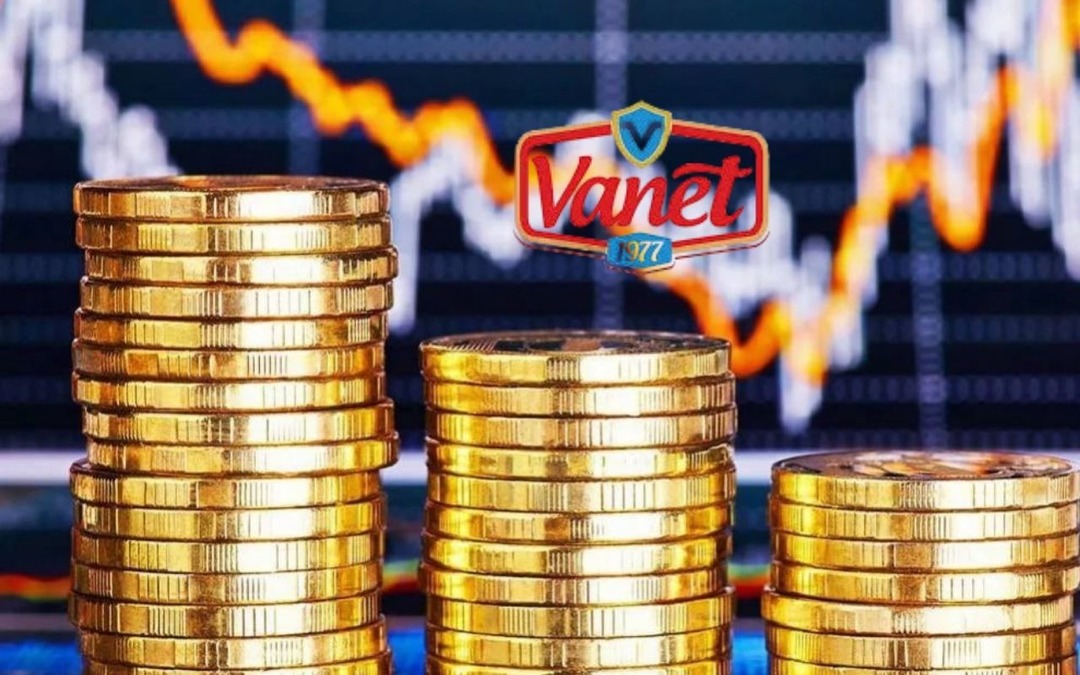 VANGD Bedelli Sermaye Artırımına Gidiyor! SPK&rsquo;ya Başvuru Yapıldı