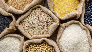 FAO verileri açıklandı! Küresel gıda fiyatları arzdaki artışla ekimde geriledi