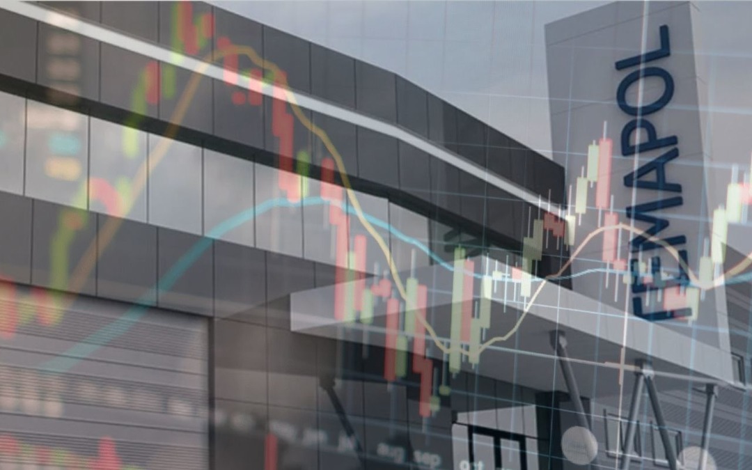 TMPOL 2025/3&Ccedil; bilan&ccedil;osunu a&ccedil;ıkladı: K&acirc;r var mı?