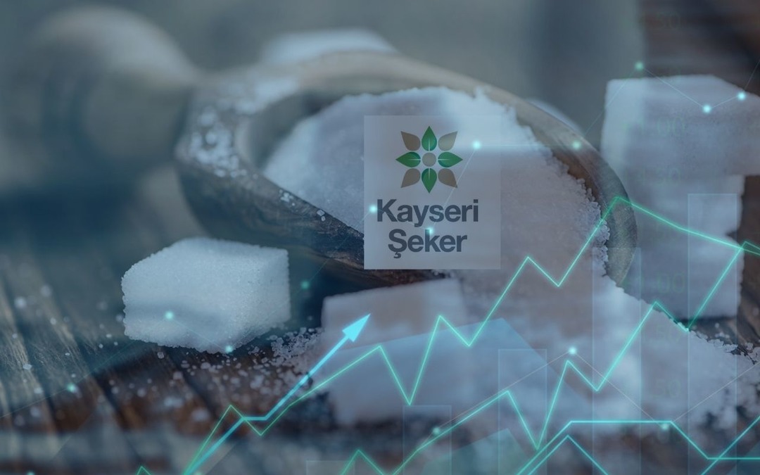 56 TL&rsquo;den 15 TL&rsquo;ye D&uuml;şt&uuml;! Şimdi Y&uuml;zde 300 Bedelsiz Sermaye Artırımına Gidiyor