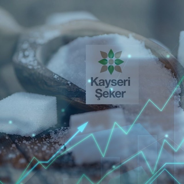 56 TL’den 15 TL’ye Düştü! Şimdi Yüzde 300 Bedelsiz Sermaye Artırımına Gidiyor