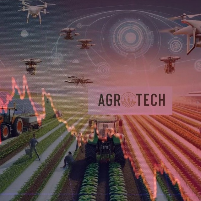 AGROT için alarm zilleri çaldı! 2025/3Ç bilançosu geldi