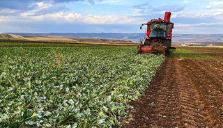 Bakan Yumaklı duyurdu! 798 milyon lira hesaplara aktarıldı