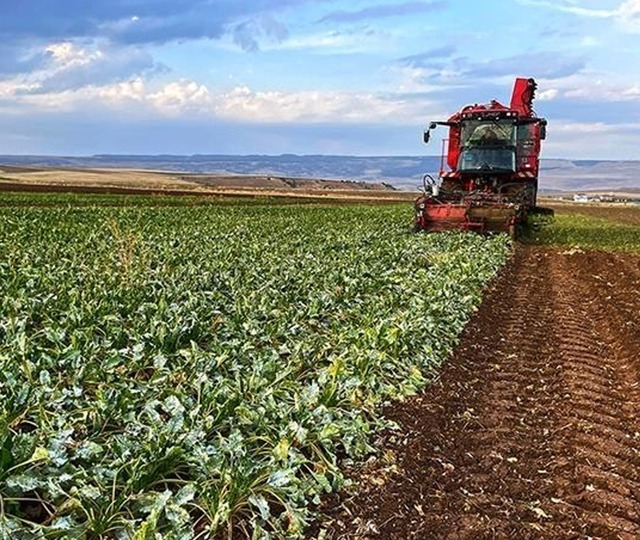 Bakan Yumaklı duyurdu! 798 milyon lira hesaplara aktarıldı