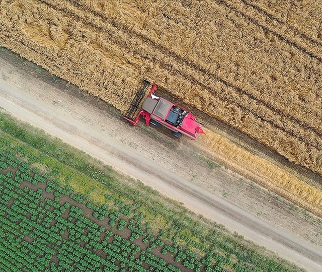 FAO'dan Türkiye'deki arazi tahribatını engellemeye yönelik projelere 8,1 milyon dolarlık kaynak