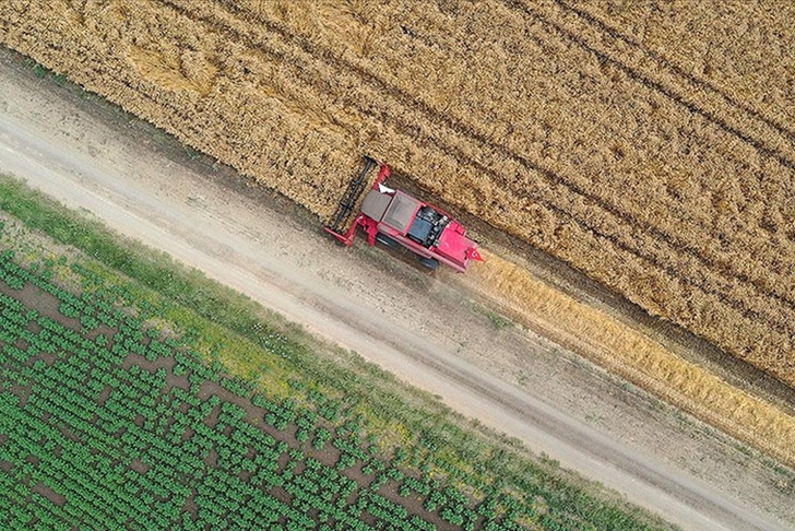 FAO'dan Türkiye'deki arazi tahribatını engellemeye yönelik projelere 8,1 milyon dolarlık kaynak