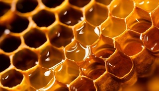 Doğu Karadeniz bal ihracatında 1,8 milyon doları aştı