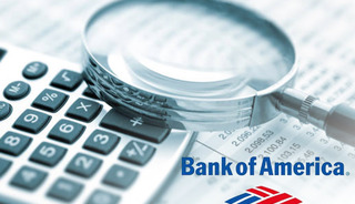 Bank of America anket sonuçlarını açıkladı! Yatırımcılar hisse ve emtialara yöneldi
