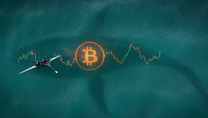 Bitcoin'de Küçük Yatırımcı Satıyor, Büyük Cüzdanlar Topluyor