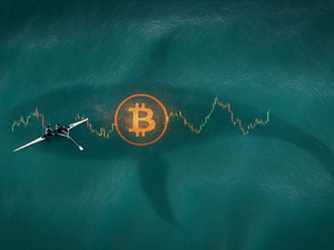 Bitcoin'de Küçük Yatırımcı Satıyor, Büyük Cüzdanlar Topluyor