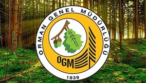 OGM 496 sözleşmeli personel alacak! Detaylar belli oldu