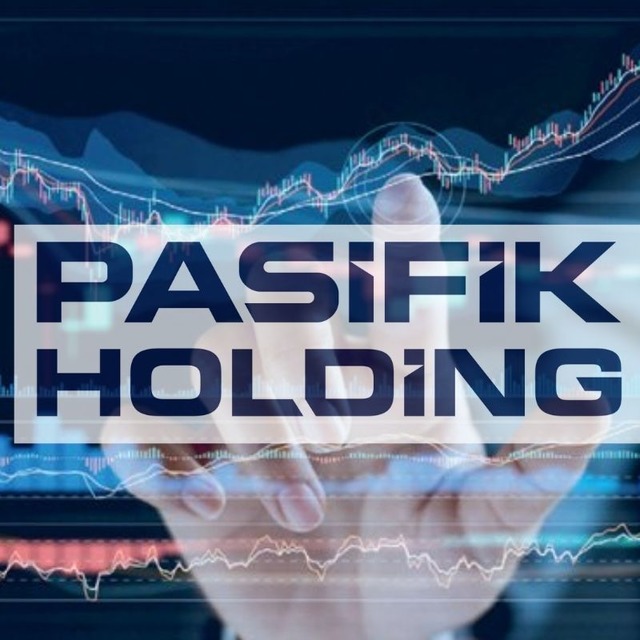 Pasifik Holding (PAHOL) için Borsa İstanbul'dan açıklama geldi