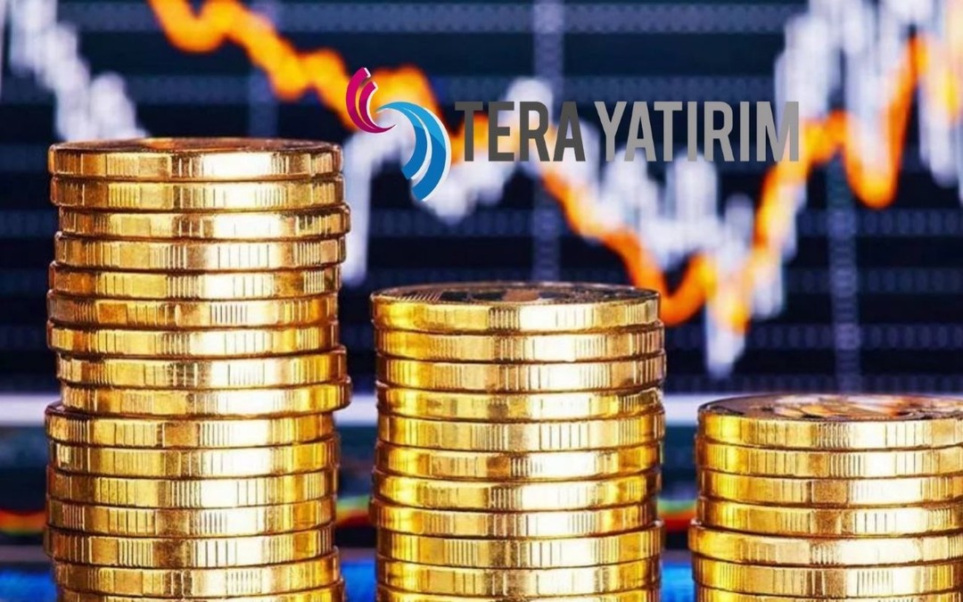 Tera Yatırım Holding (TRHOL) bedelsiz sermaye artırımı ne zaman?