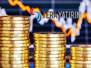 Tera Yatırım Holding (TRHOL) bedelsiz sermaye artırımı ne zaman?