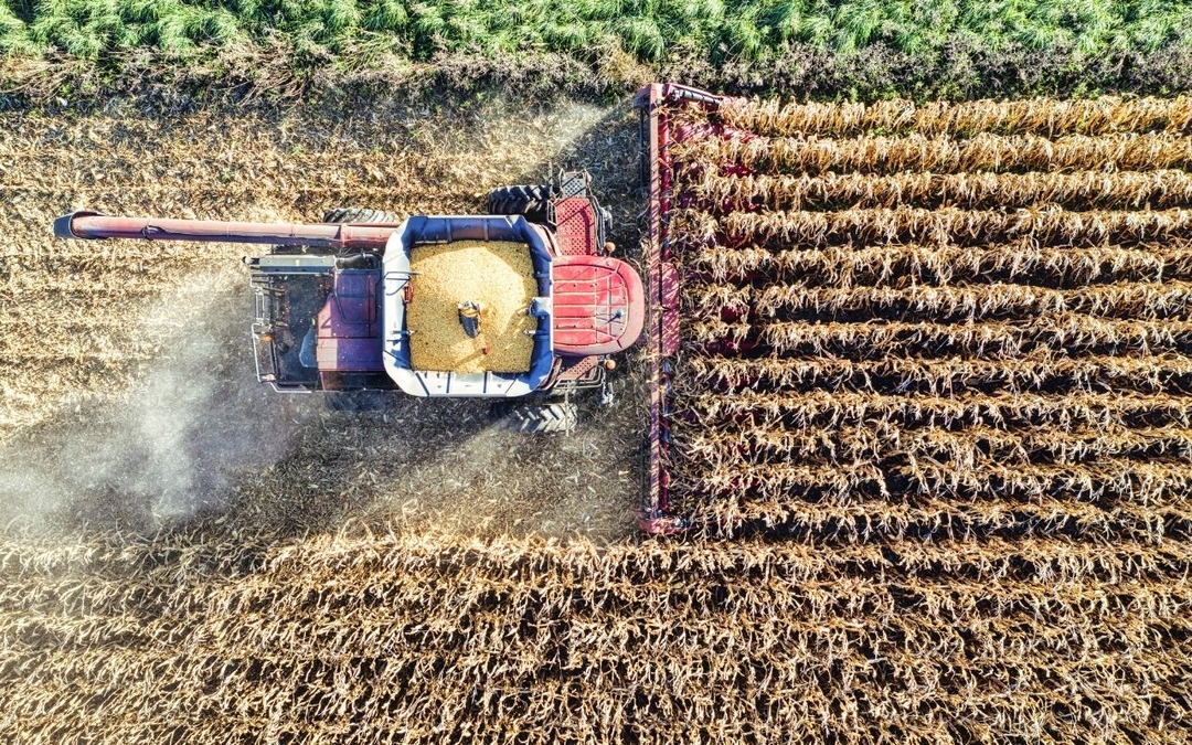 Tarım sekt&ouml;r&uuml;nden 2025'te t&uuml;m zamanların en y&uuml;ksek yıllık ihracatı