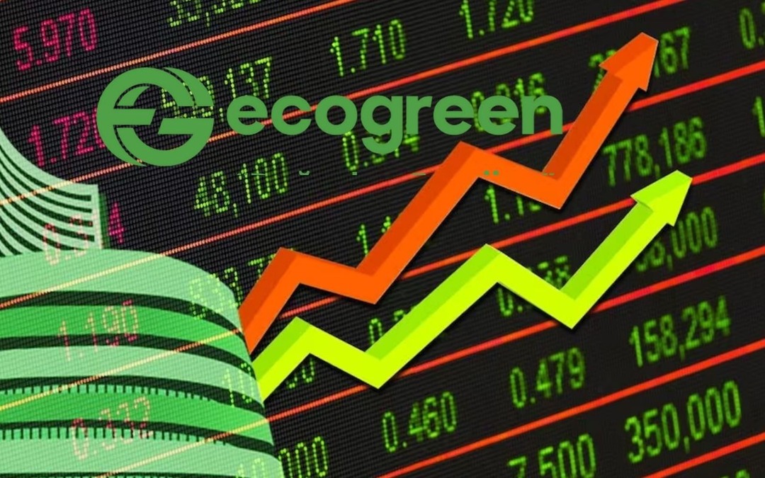 Ecogreen Enerji en y&uuml;ksek teklifi verdi: Hisseler tavan!