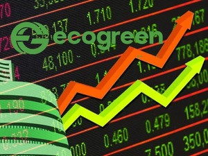 Ecogreen Enerji en y&uuml;ksek teklifi verdi: Hisseler tavan!