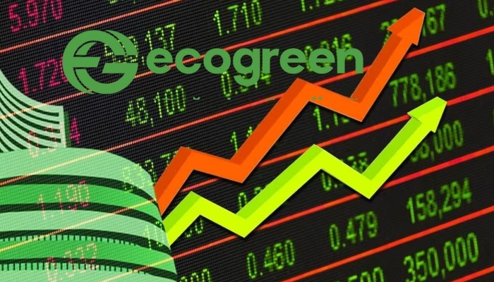 Ecogreen Enerji en yüksek teklifi verdi: Hisseler tavan!