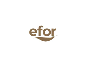 Efor Yatırım (EFOR) %500 Bedelsiz Sermaye Artırımına Gidiyor