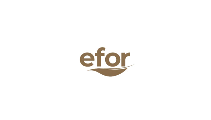 Efor Yatırım (EFOR) %500 Bedelsiz Sermaye Artırımına Gidiyor