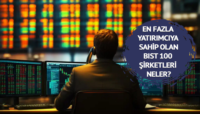 En fazla yatırımcıya sahip olan BIST 100 şirketleri neler?