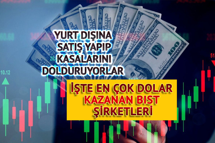 Bu şirketler yurt dışına satış yapıp dolar kazanıyor! En çok dolar kazanan borsa İstanbul şirketleri..