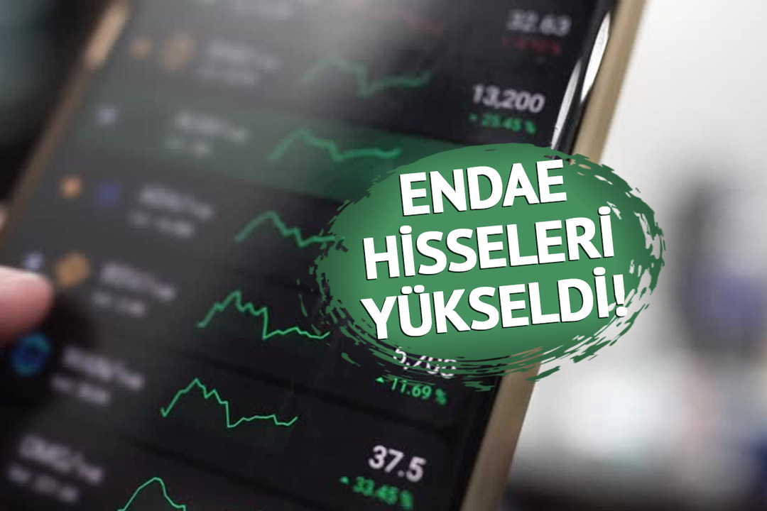 ENDAE neden y&uuml;kseldi?