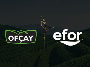 Efor Yatırım (EFOR) bug&uuml;n bedelsiz yapıyor! 1000 lotu olan yatırımcının 6 bin lotu olacak