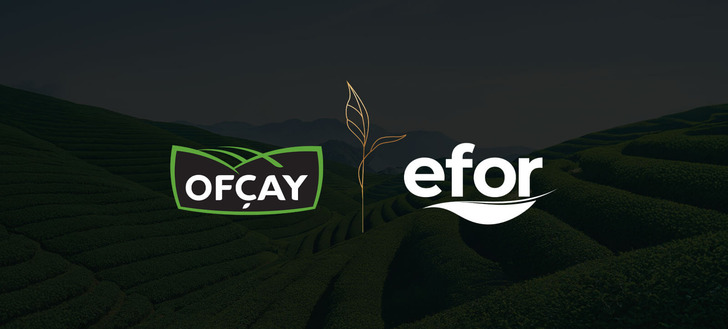 Efor Yatırım (EFOR) bugün bedelsiz yapıyor! 1000 lotu olan yatırımcının 6 bin lotu olacak