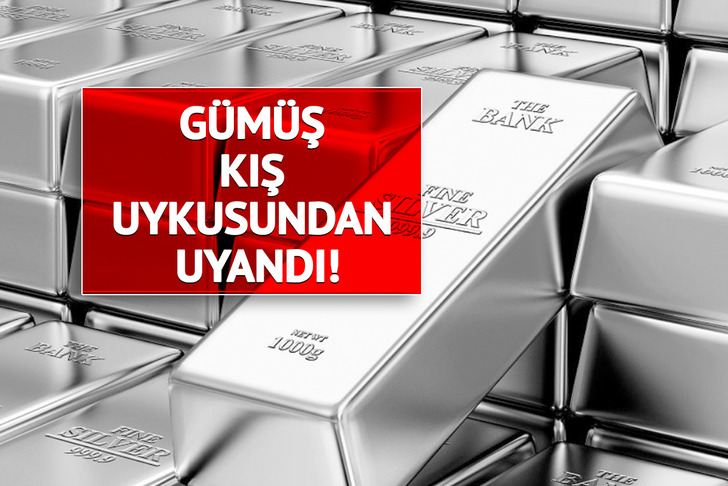 Akıllı para harekete geçti: Sessizce gümüş topluyorlar