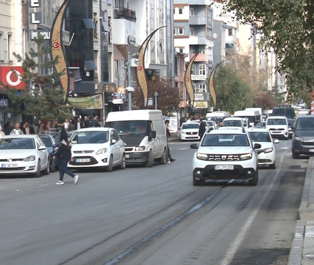 TÜİK verileri gündem oldu! Park etmek için yanlarında duba taşıyorlar