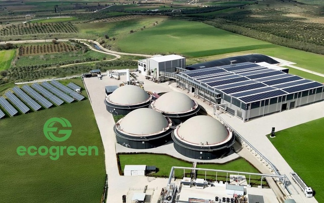 ECOGR bağlı ortaklıklarını birleştirdi