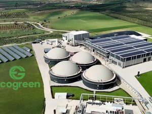 ECOGR bağlı ortaklıklarını birleştirdi