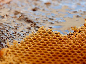 Gıdada bir skandal daha! Taklit-tağşiş listesine 3 yeni &uuml;r&uuml;n eklendi