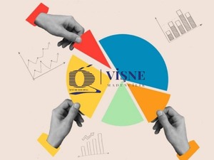 VSNMD'den temettü açıklaması 