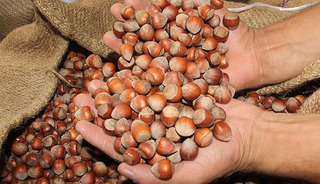 Ticaret borsalarında en çok o işlem gördü! 138 bin tonu aştı