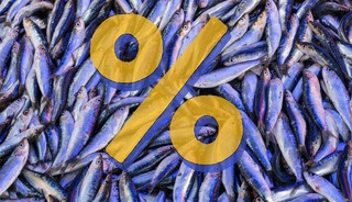 Bolluk sona erdi: Hamsi fiyatı üçe katlandı