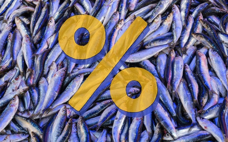 Bolluk sona erdi: Hamsi fiyatı üçe katlandı