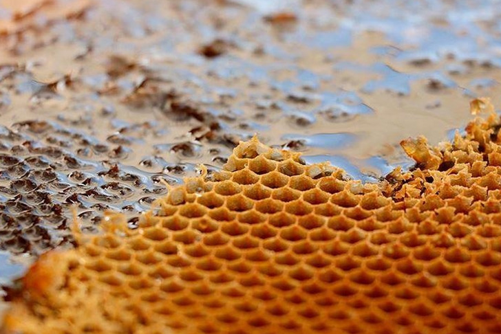 İhracatı 11 ayda 452 ton oldu! "Daha da artacağına inanıyoruz"