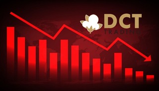 Patrondan pay alımı! DCTTR hisseleri düşüşte