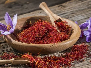 Sadece gramı 700 lira! "Kırmızı altın" t&uuml;m mesleklerden daha &ccedil;ok kazandırıyor