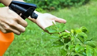 Bitki koruma ürünlerinin satışında takip sistemi zorunlu oldu