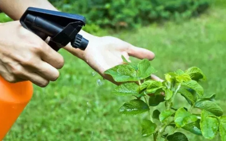 Bitki koruma ürünlerinin satışında takip sistemi zorunlu oldu