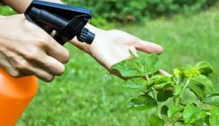 Reçetesiz bitki koruma ürünü satana yaptırım! Ceza kesilecek