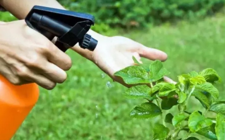 Reçetesiz bitki koruma ürünü satana yaptırım! Ceza kesilecek