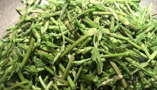 Kilosu 1.000 Euro! Türk Çiftçisi Bunu "Ot" Diye Atıyor, Avrupa'da Krallar Yiyor